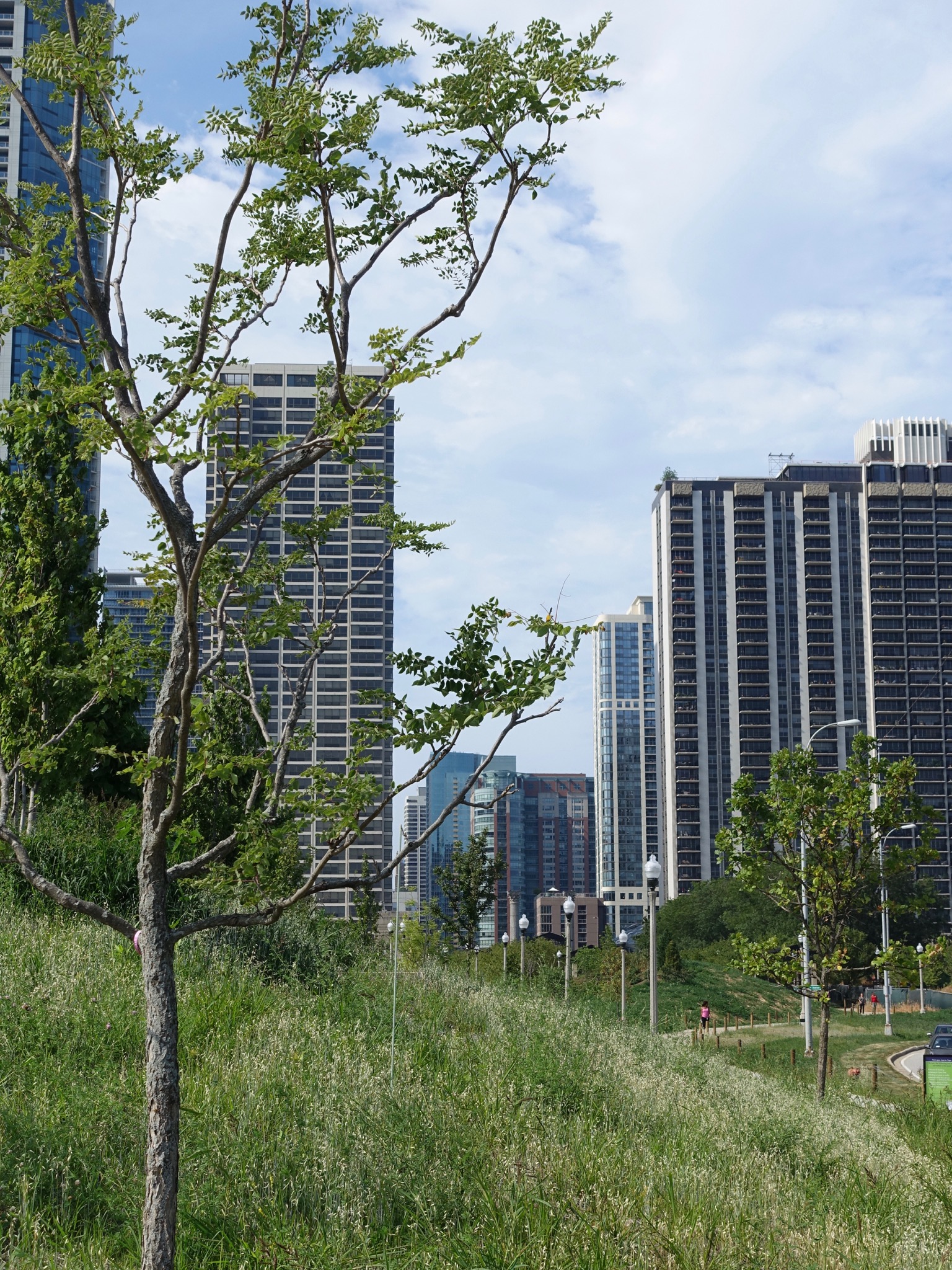 Photo 53 of 135 from the album Highlights Chicago 2015.