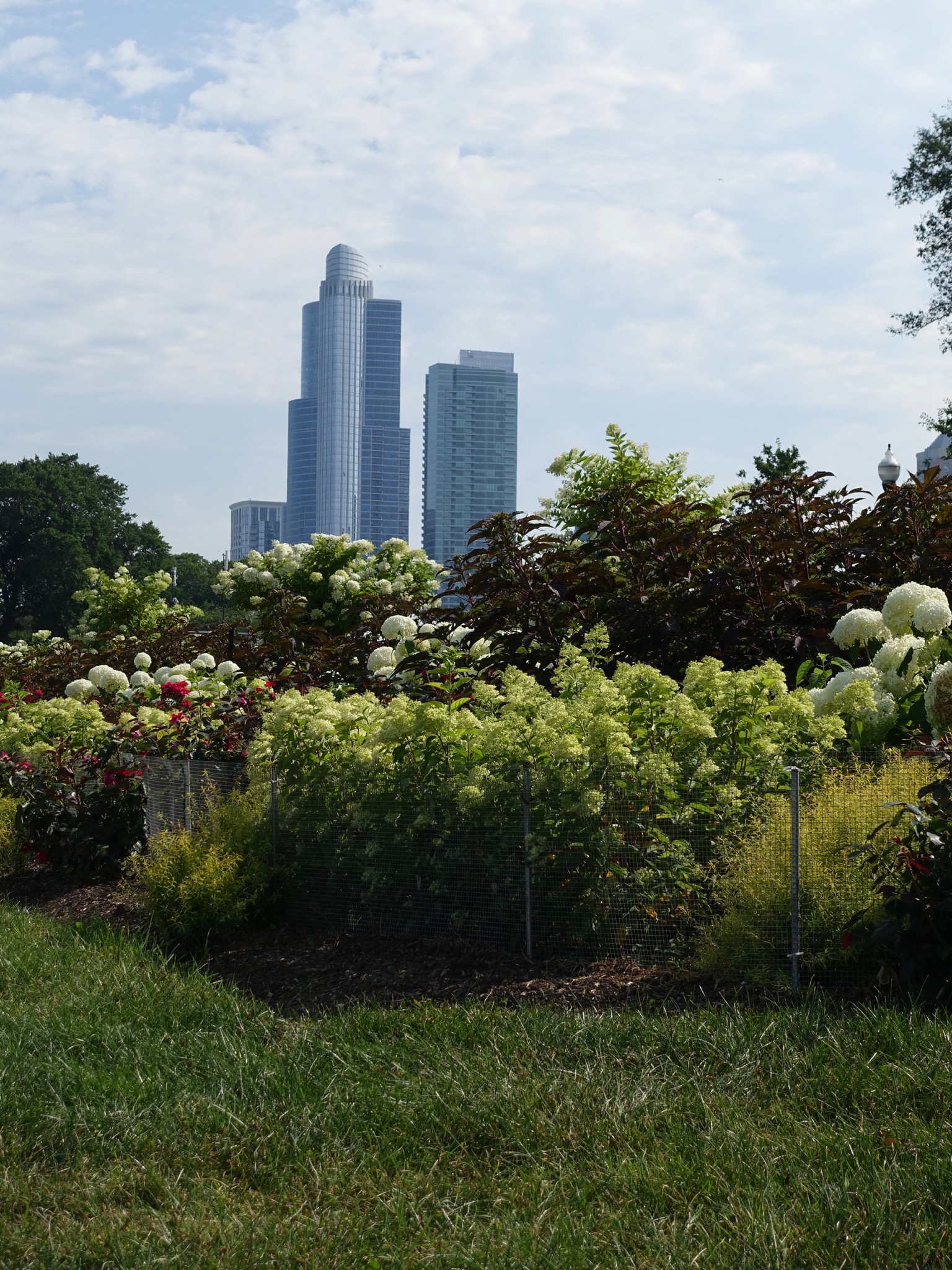 Photo 55 of 135 from the album Highlights Chicago 2015.