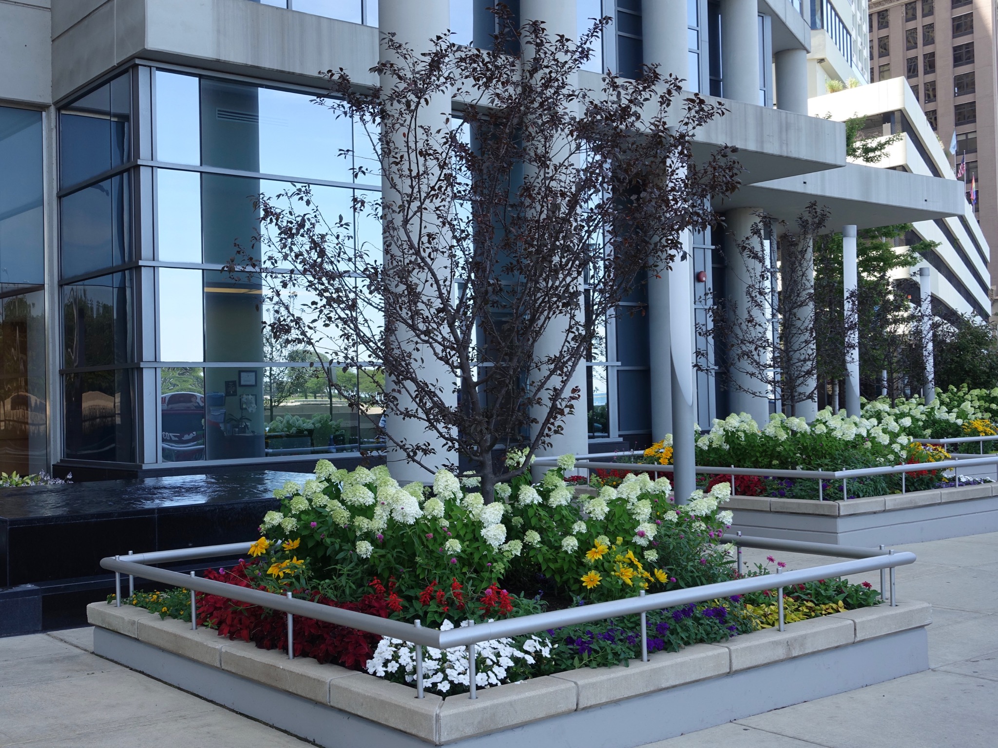 Photo 95 of 135 from the album Highlights Chicago 2015.