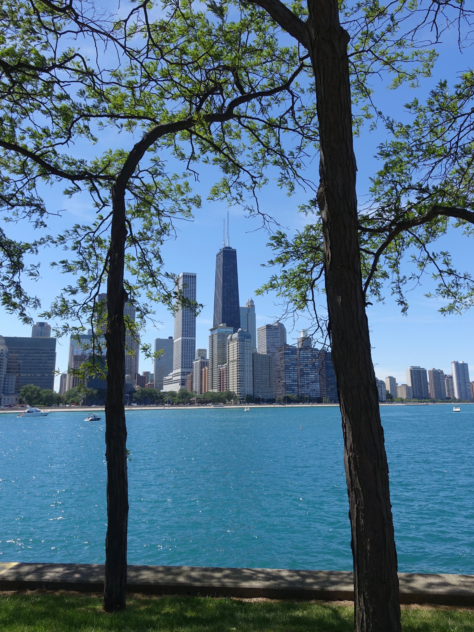 Photo 99 of 135 from the album Highlights Chicago 2015.