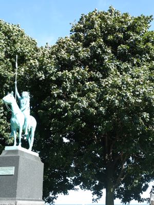 Thumbnail 113 of 135.