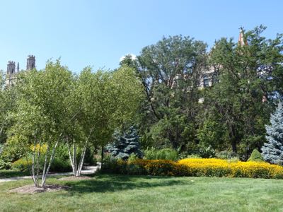 Thumbnail 126 of 135.