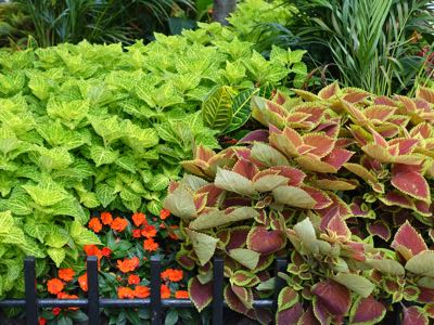 Thumbnail 13 of 135.