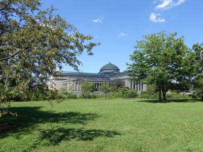 Thumbnail 131 of 135.