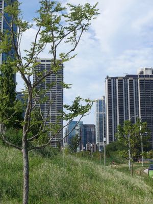 Thumbnail 53 of 135.