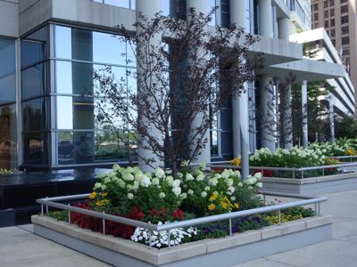 Thumbnail 95 of 135.