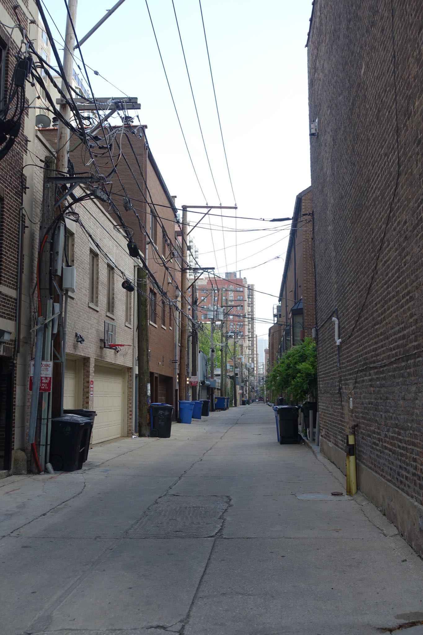 Photo 8 of 25 from the album Highlights Chicago 2018.