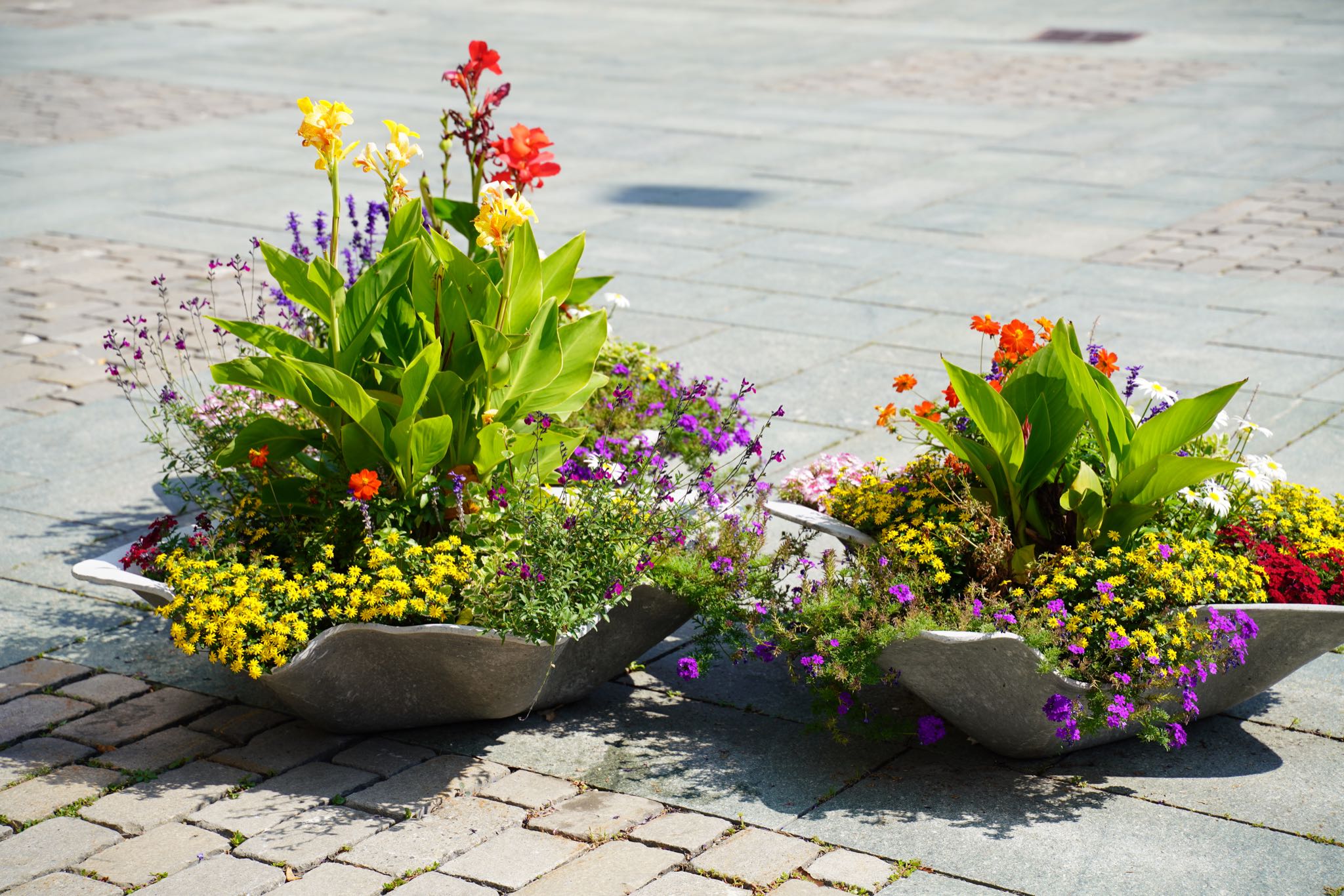 Photo 13 of 99 from the album Chur 2021.