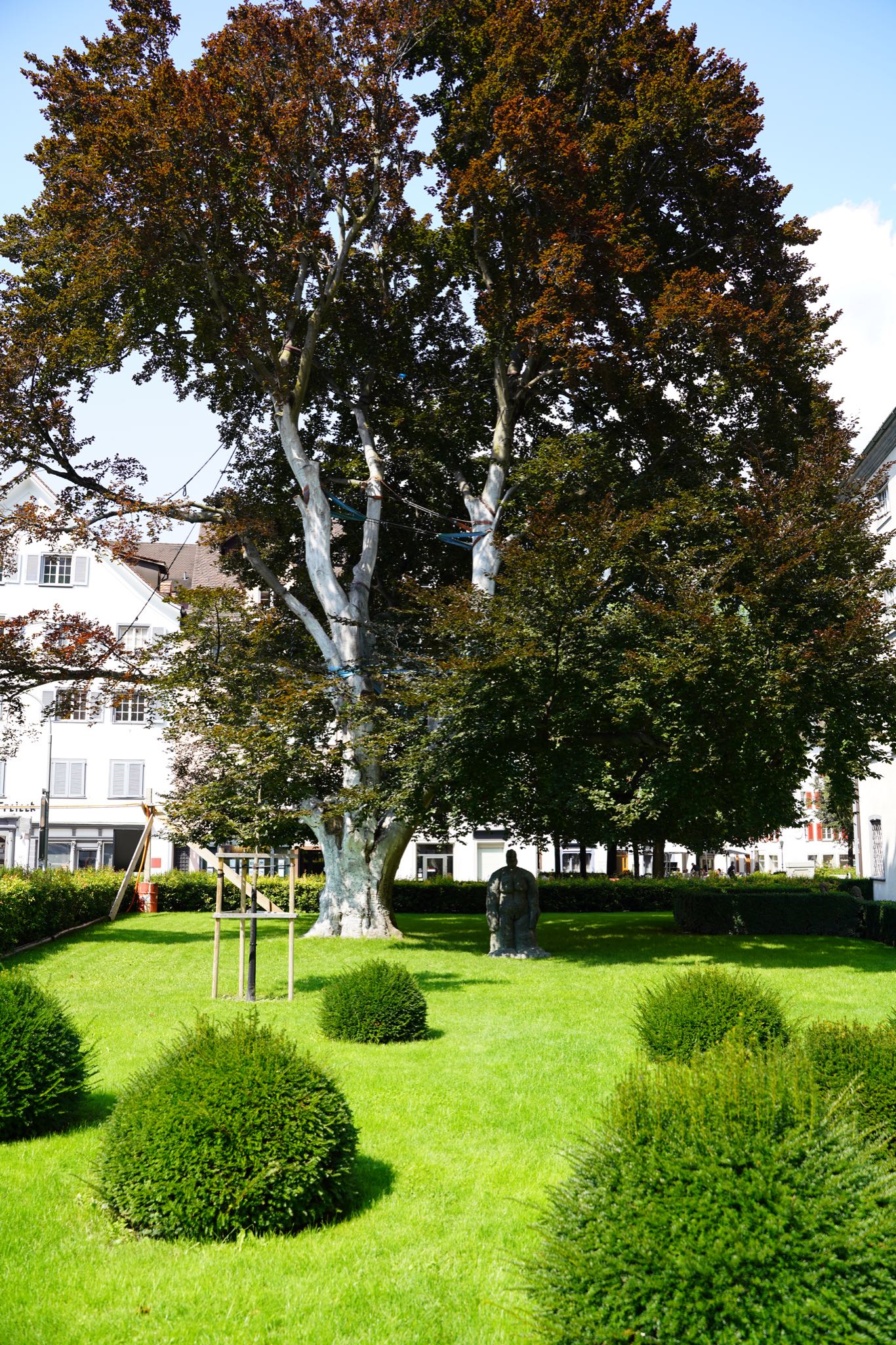 Photo 30 of 99 from the album Chur 2021.