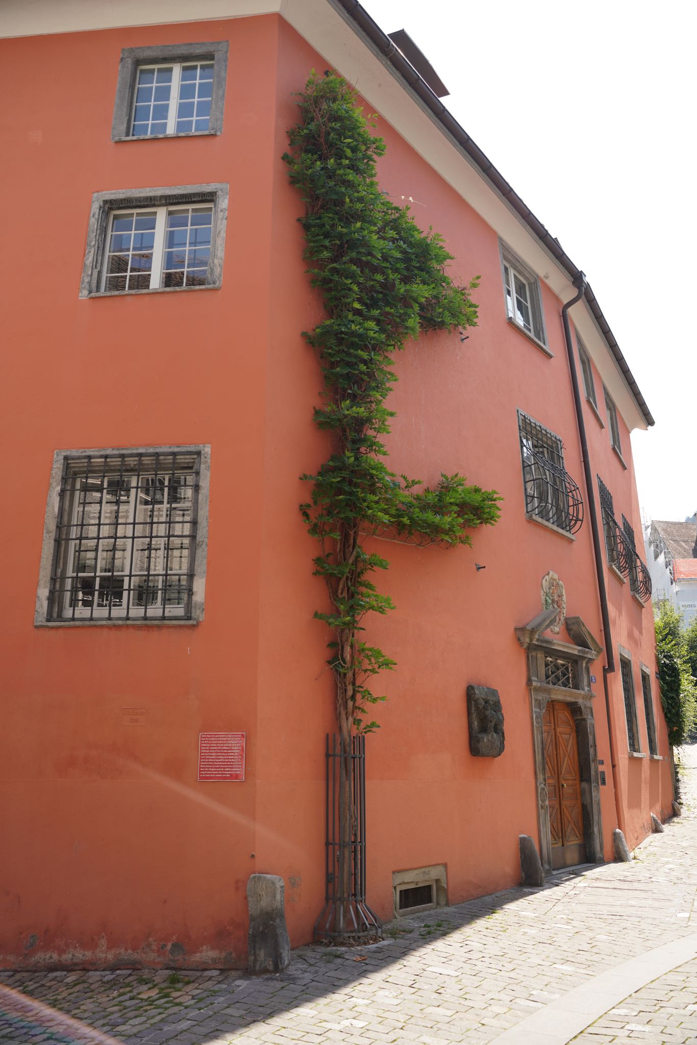 Photo 35 of 99 from the album Chur 2021.