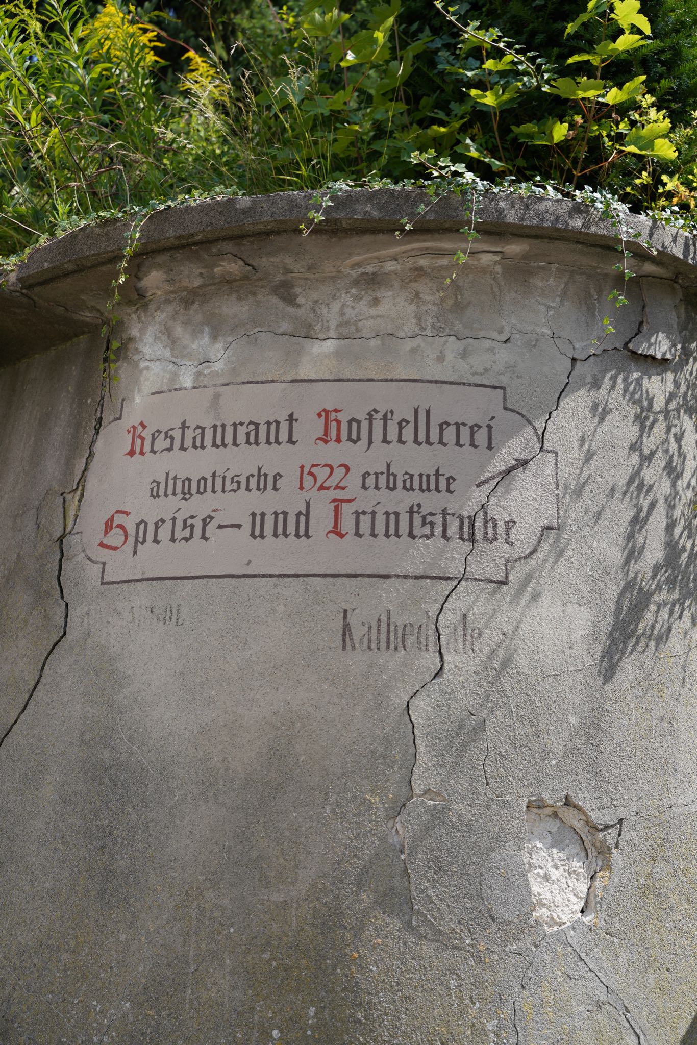 Photo 49 of 99 from the album Chur 2021.