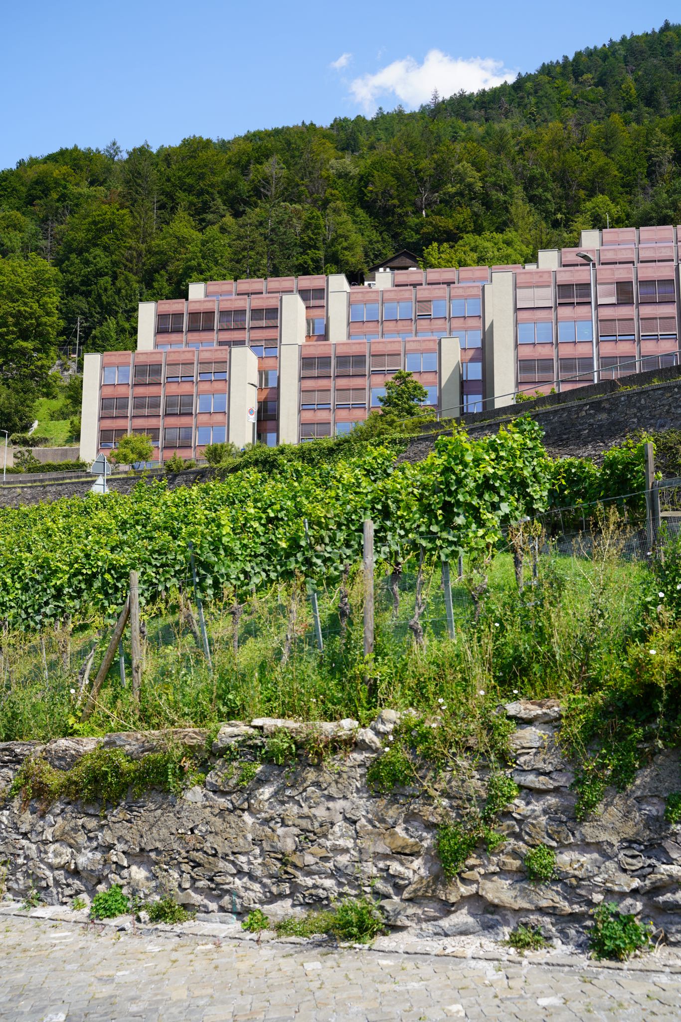 Photo 58 of 99 from the album Chur 2021.