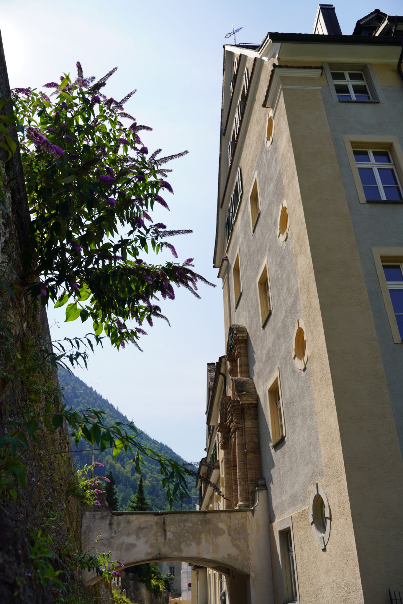 Photo 63 of 99 from the album Chur 2021.