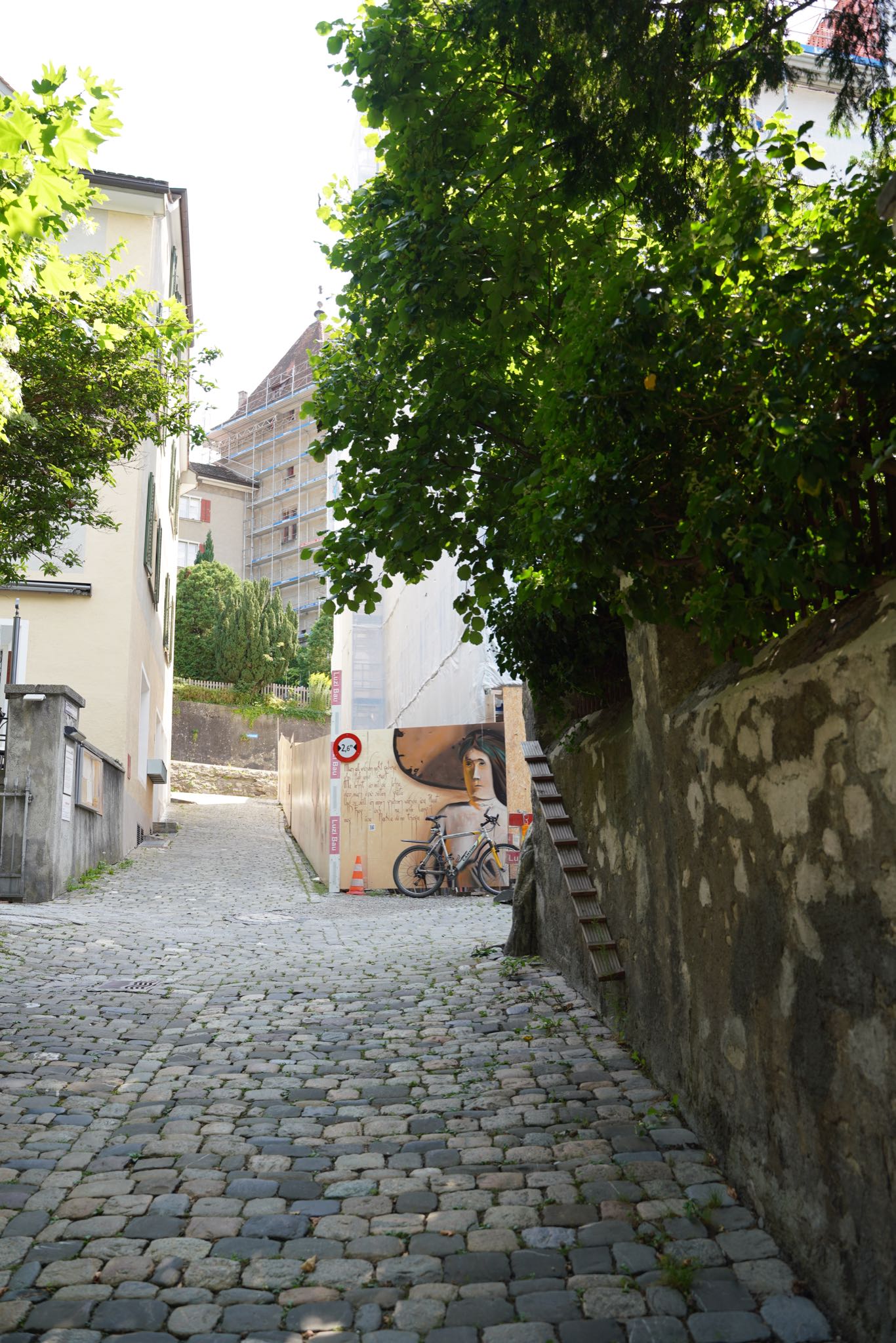 Photo 65 of 99 from the album Chur 2021.