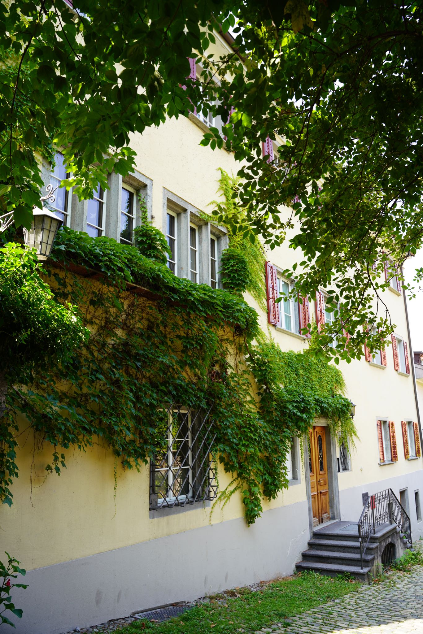 Photo 66 of 99 from the album Chur 2021.