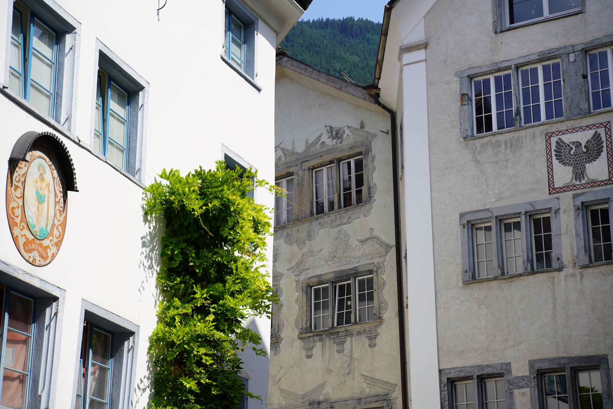 Photo 71 of 99 from the album Chur 2021.