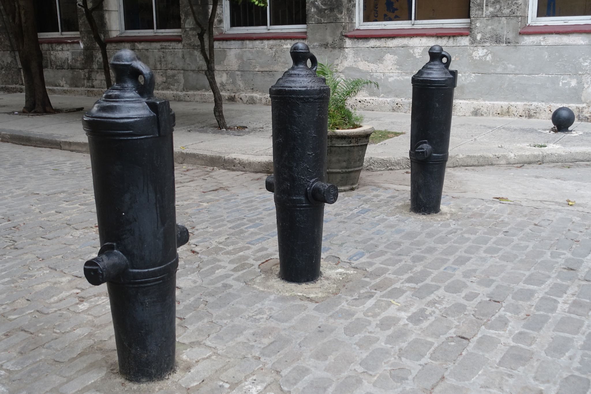 Photo 108 of 221 from the album Highlights Cuba 2019.