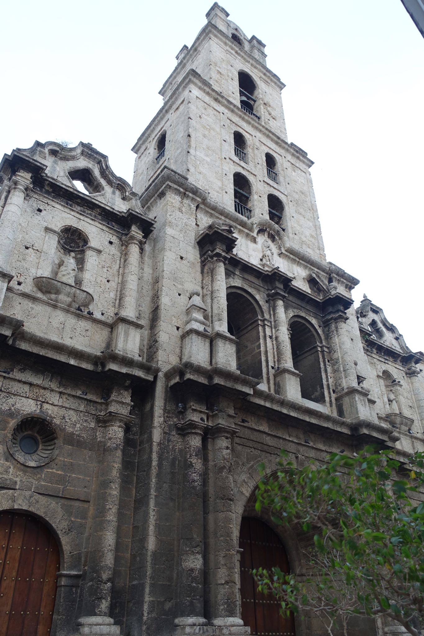 Photo 114 of 221 from the album Highlights Cuba 2019.