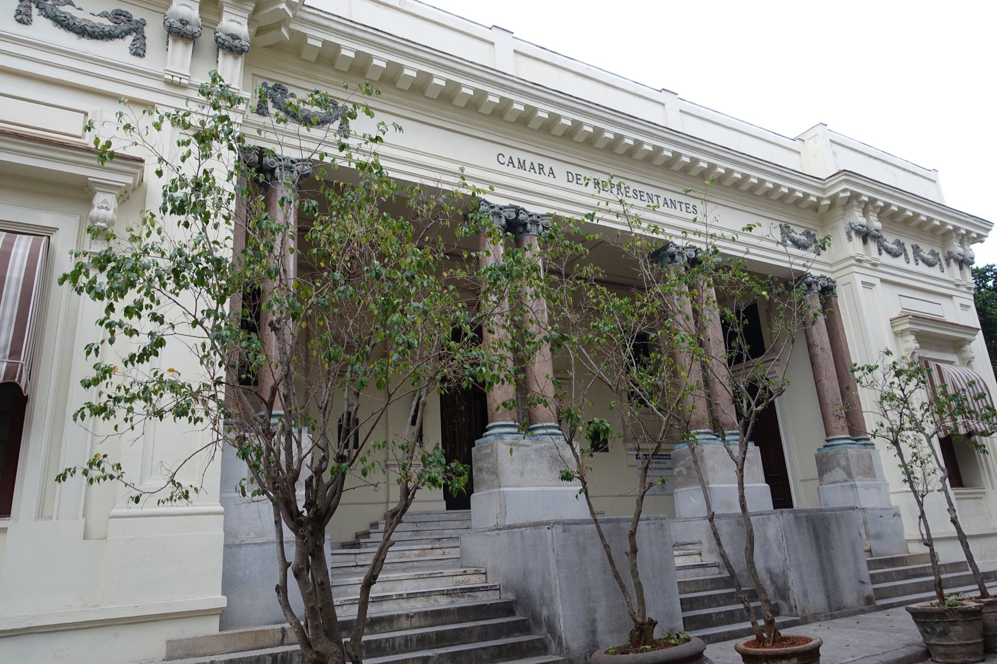 Photo 116 of 221 from the album Highlights Cuba 2019.