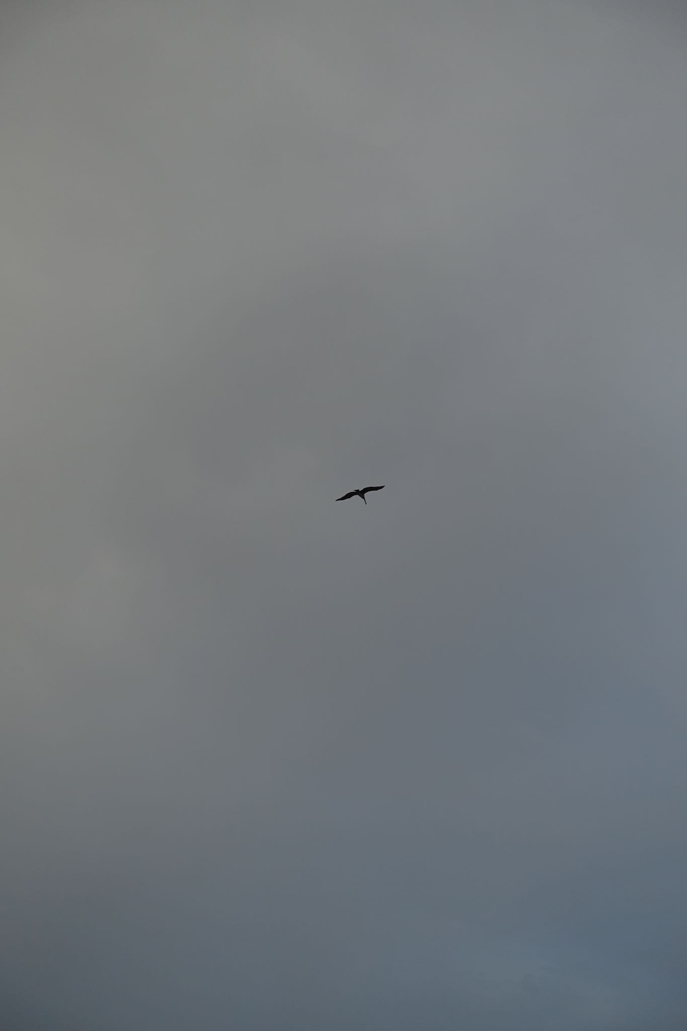 Photo 121 of 221 from the album Highlights Cuba 2019.