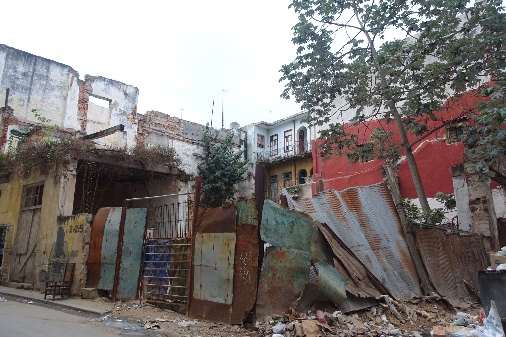 Photo 124 of 221 from the album Highlights Cuba 2019.