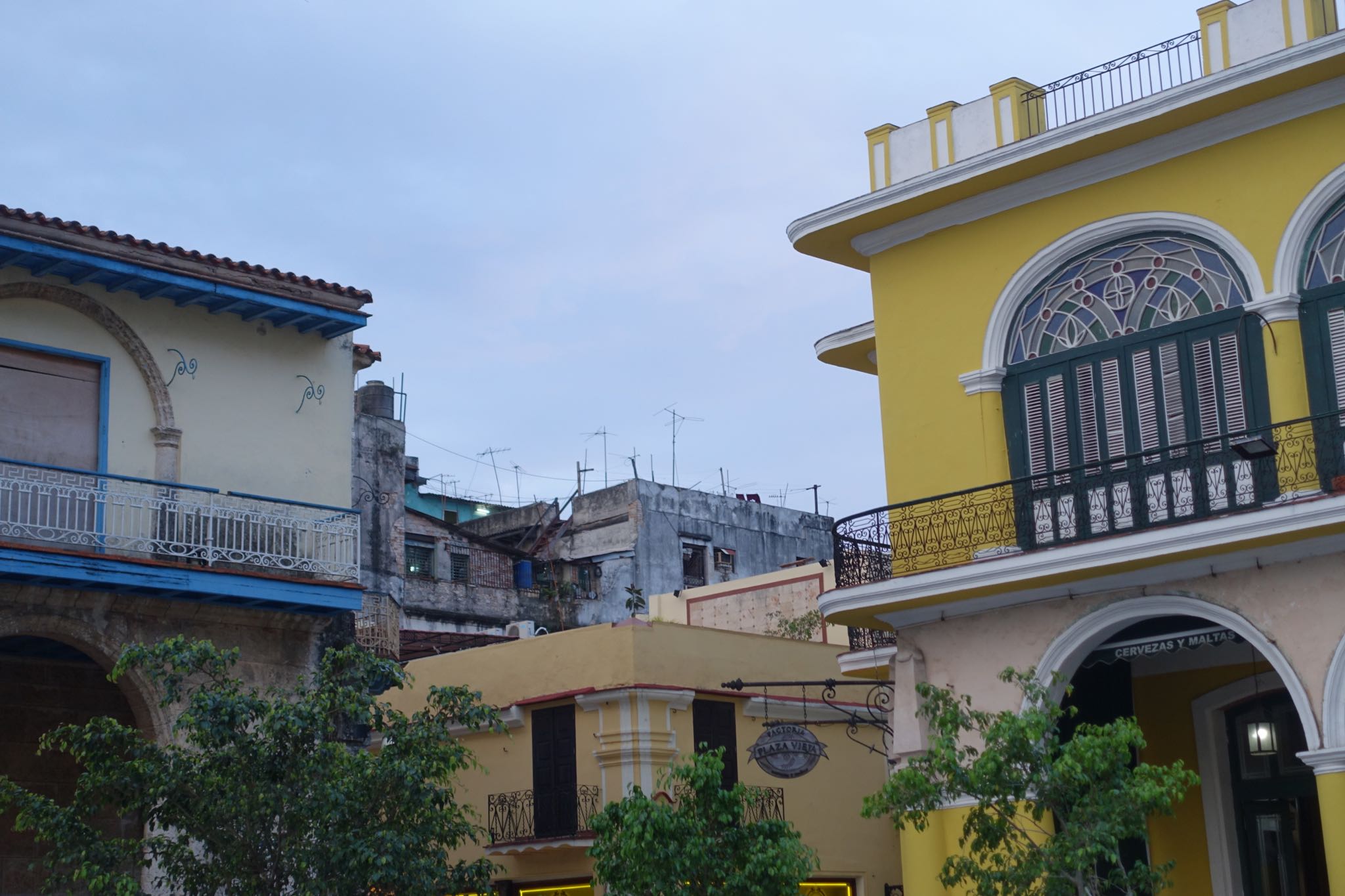 Photo 128 of 221 from the album Highlights Cuba 2019.