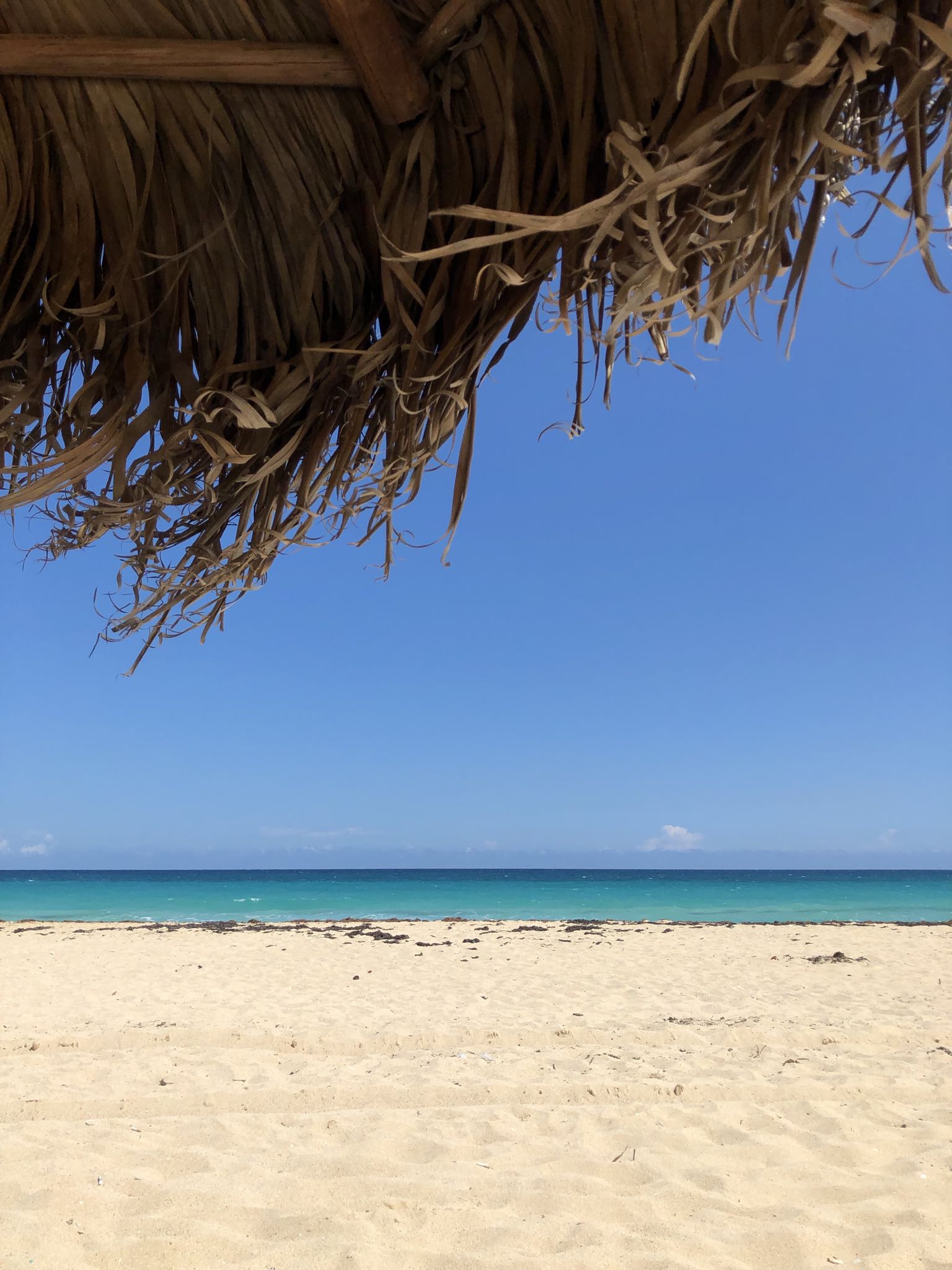 Photo 137 of 221 from the album Highlights Cuba 2019.