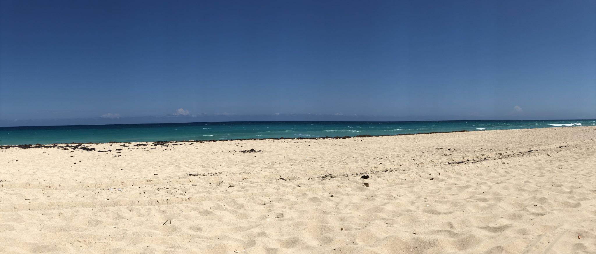 Photo 138 of 221 from the album Highlights Cuba 2019.