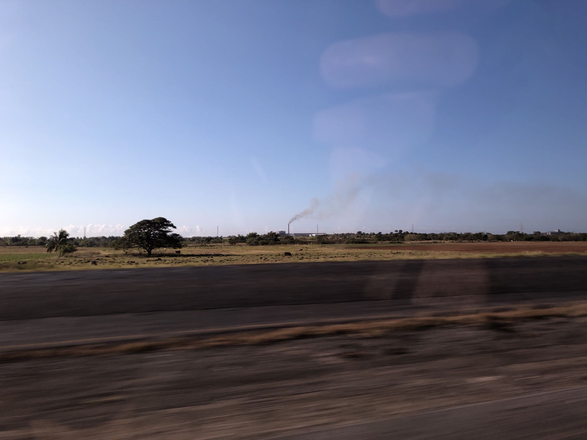 Photo 149 of 221 from the album Highlights Cuba 2019.