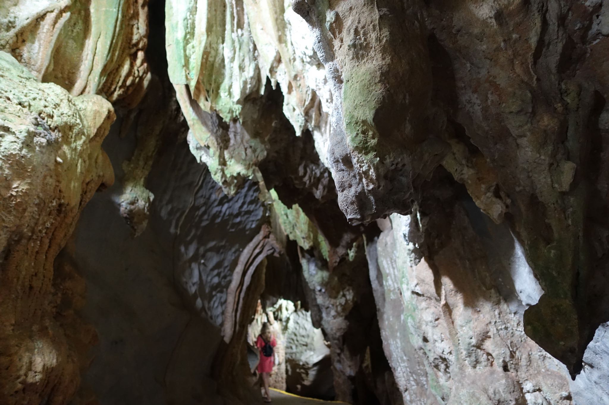 Photo 153 of 221 from the album Highlights Cuba 2019.