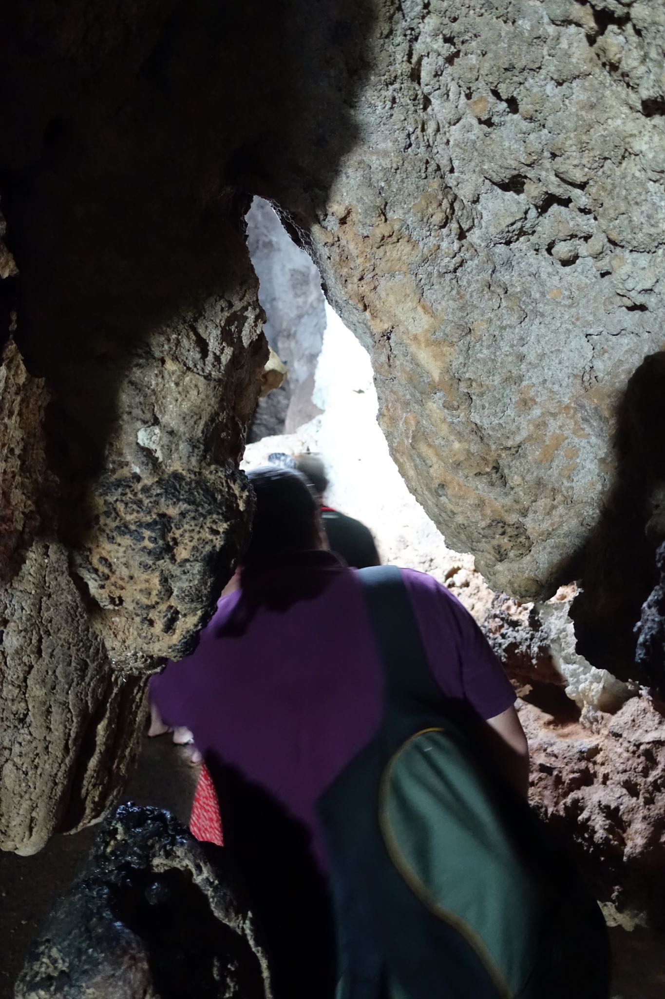 Photo 155 of 221 from the album Highlights Cuba 2019.