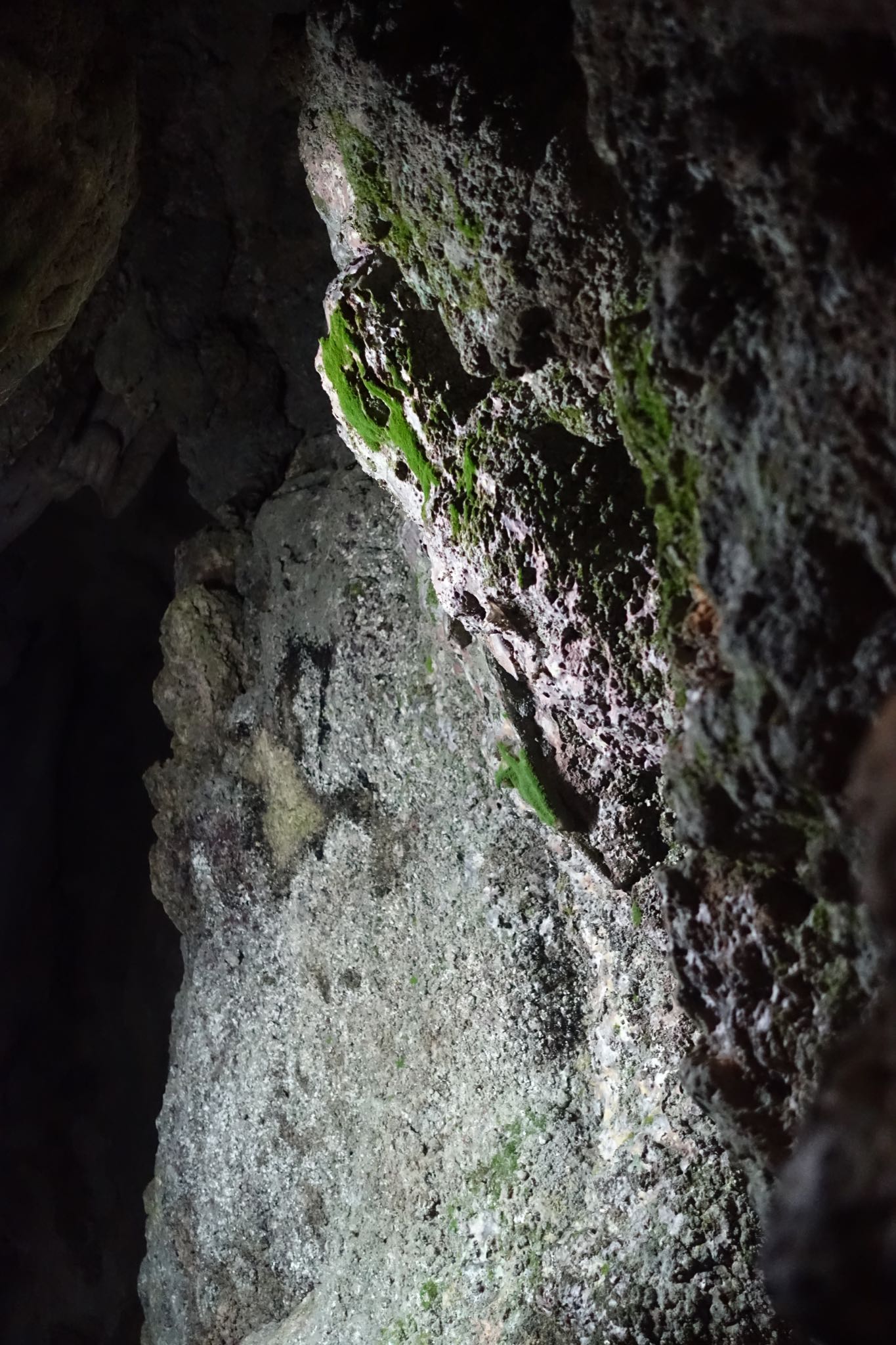 Photo 156 of 221 from the album Highlights Cuba 2019.