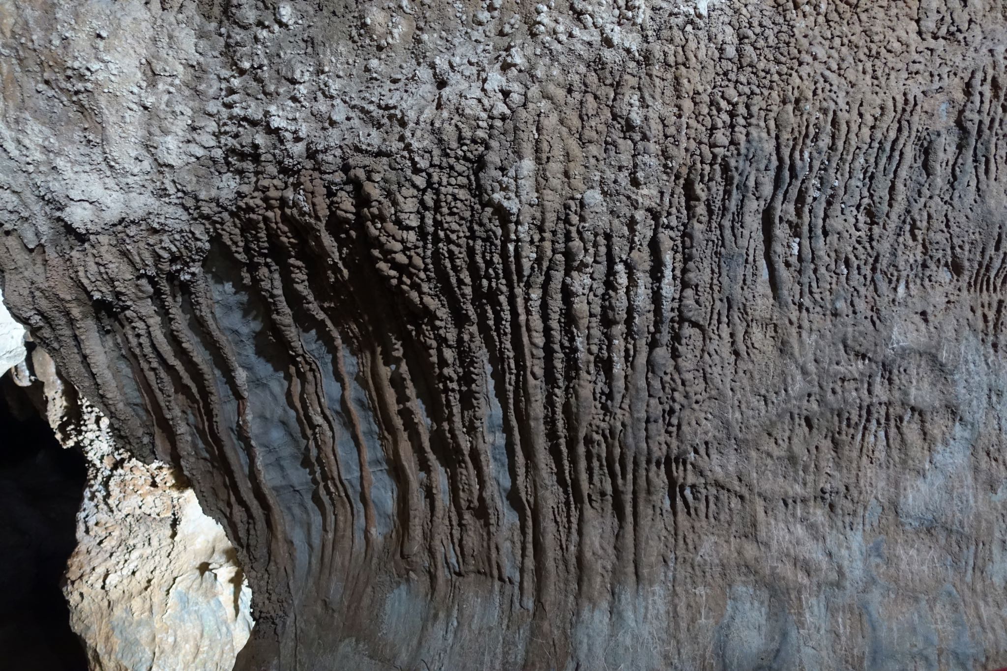 Photo 157 of 221 from the album Highlights Cuba 2019.