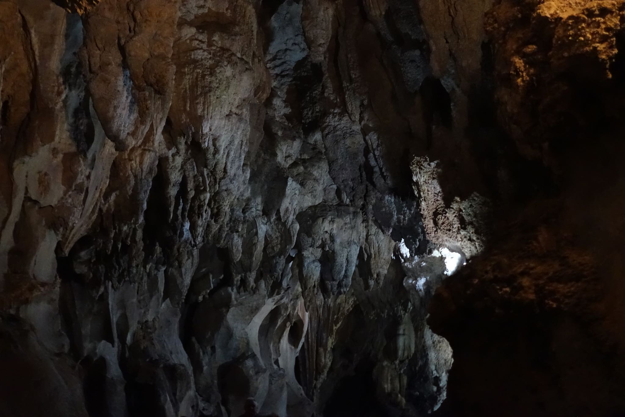 Photo 159 of 221 from the album Highlights Cuba 2019.