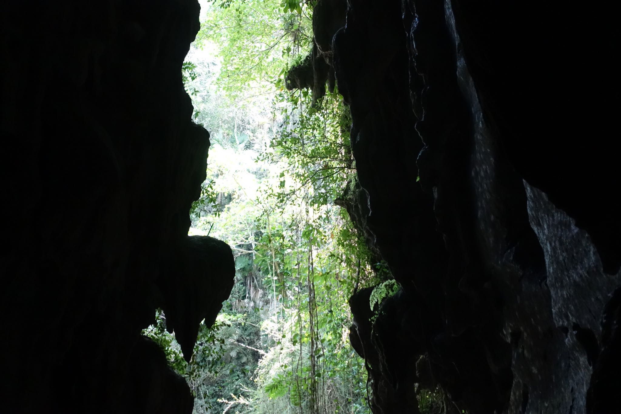 Photo 162 of 221 from the album Highlights Cuba 2019.