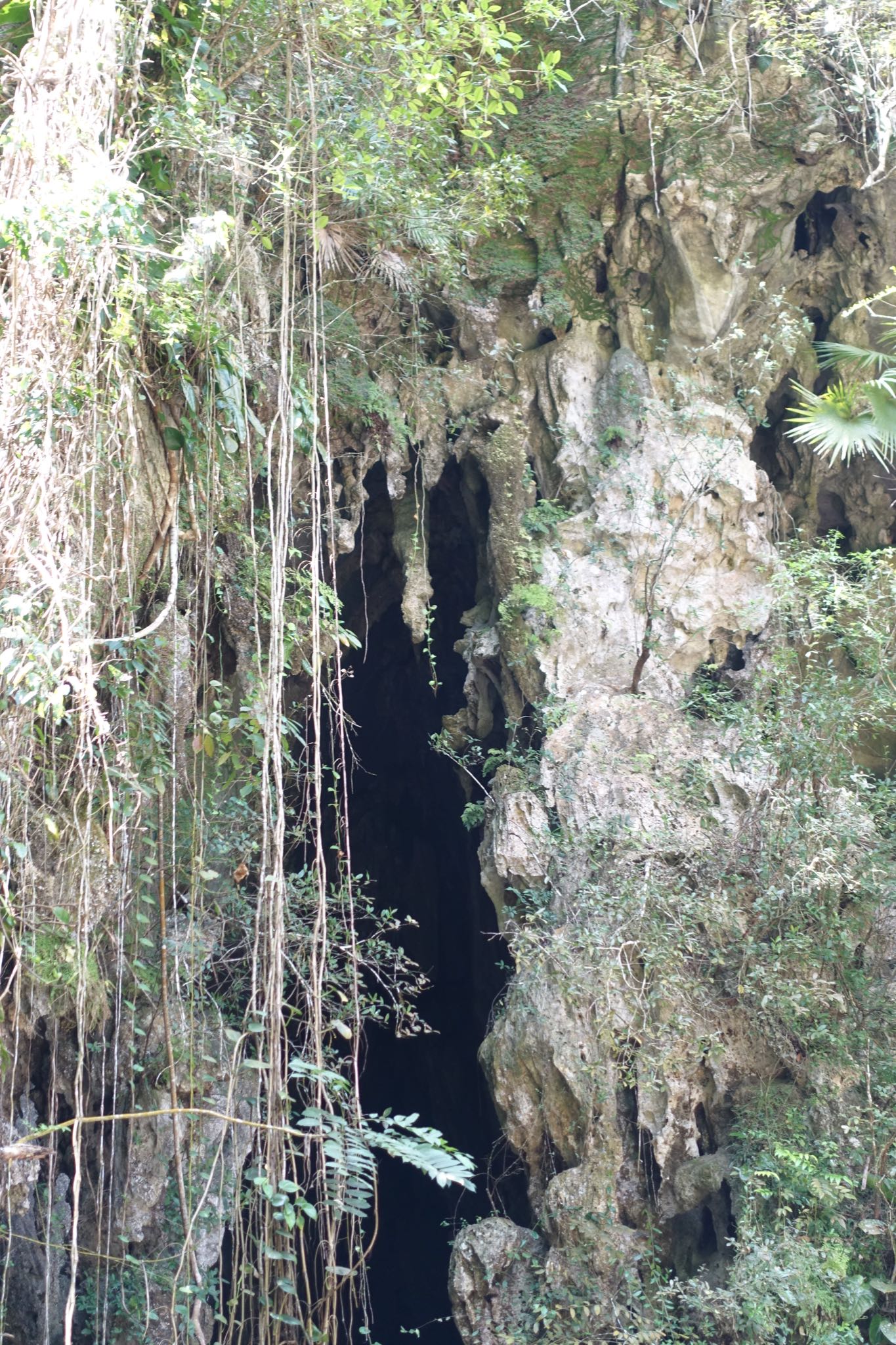 Photo 163 of 221 from the album Highlights Cuba 2019.