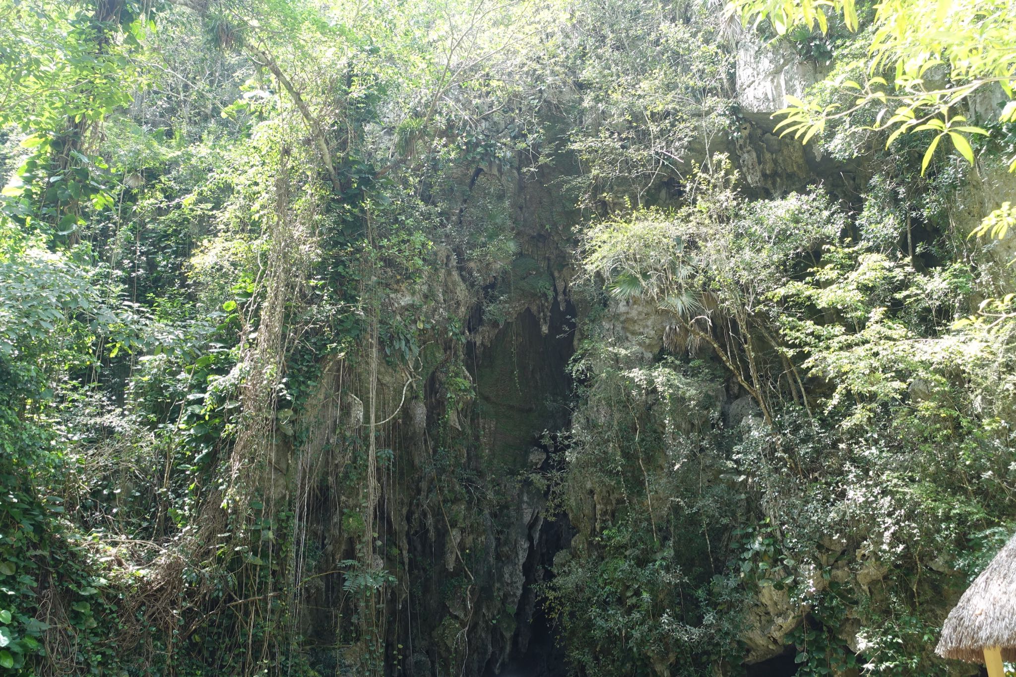 Photo 164 of 221 from the album Highlights Cuba 2019.