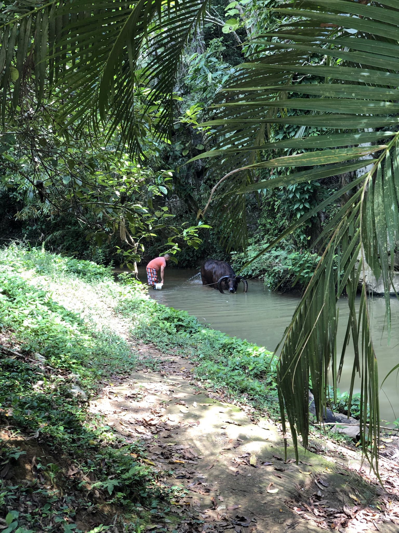 Photo 165 of 221 from the album Highlights Cuba 2019.