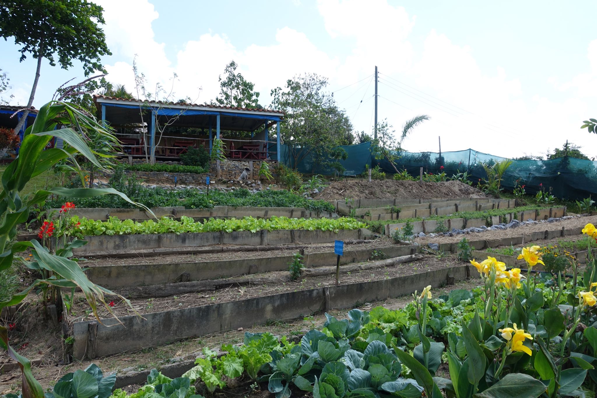 Photo 167 of 221 from the album Highlights Cuba 2019.