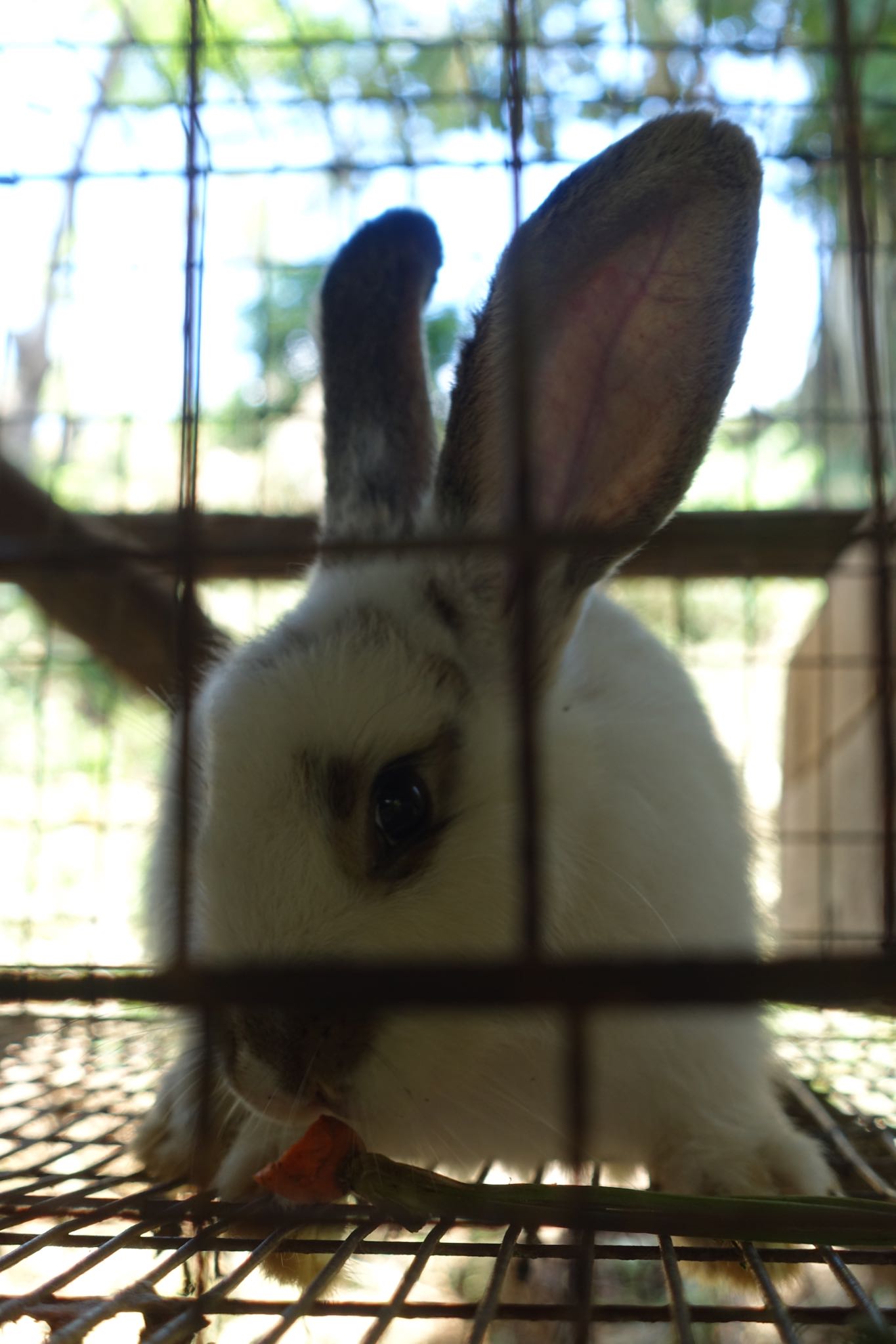 Photo 174 of 221 from the album Highlights Cuba 2019.