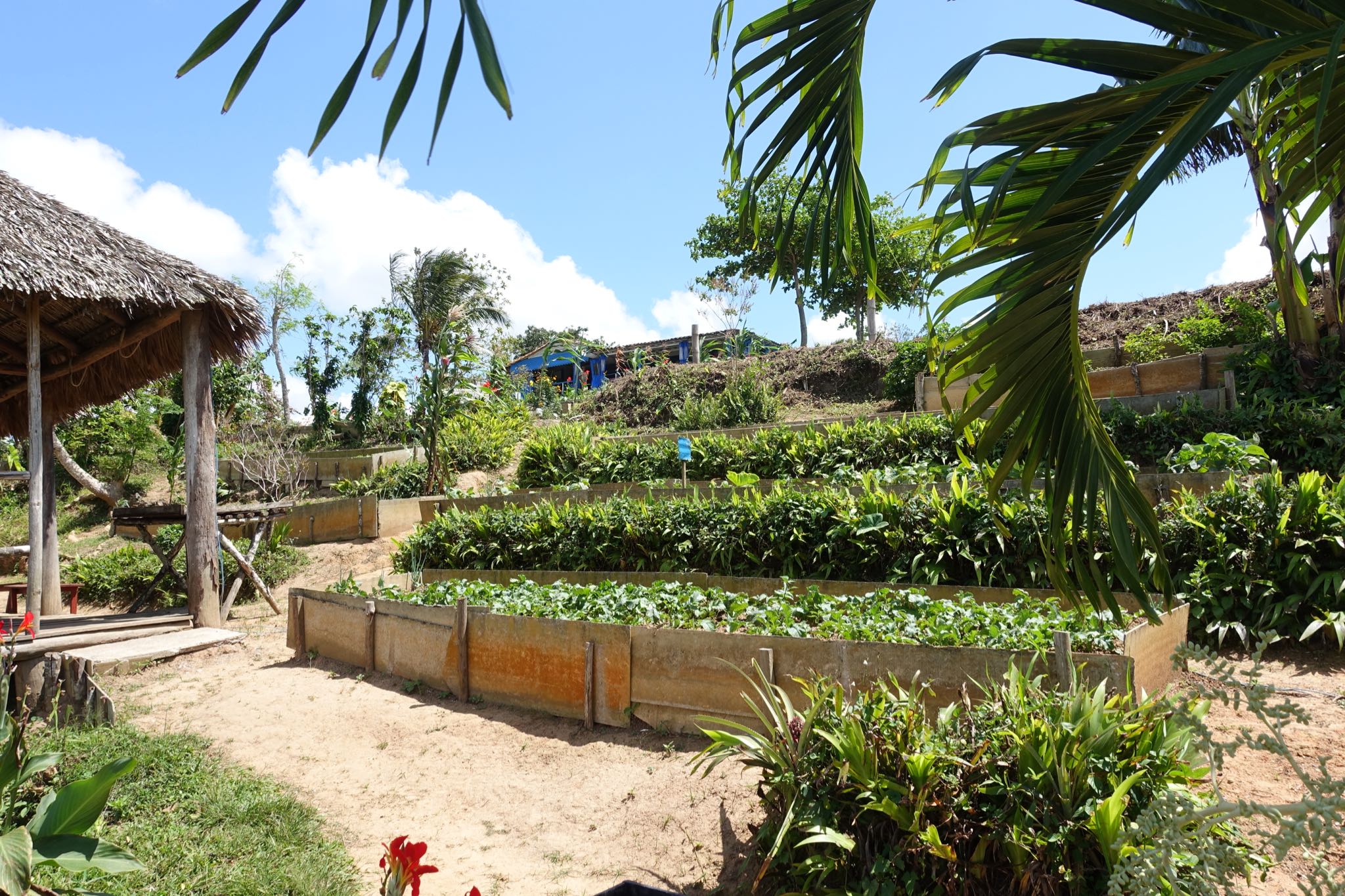 Photo 179 of 221 from the album Highlights Cuba 2019.