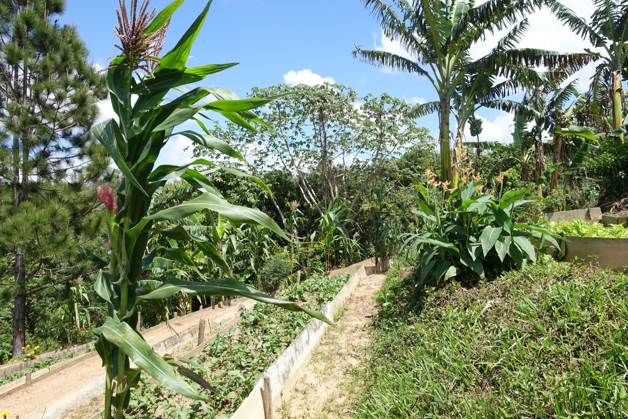 Photo 180 of 221 from the album Highlights Cuba 2019.