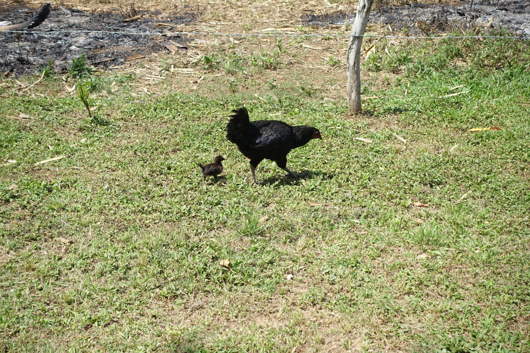 Photo 185 of 221 from the album Highlights Cuba 2019.