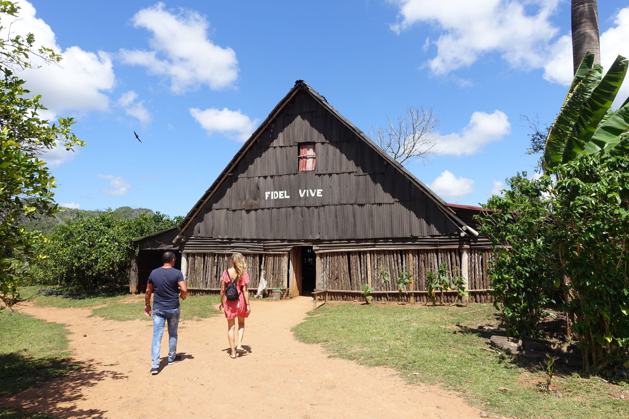 Photo 186 of 221 from the album Highlights Cuba 2019.