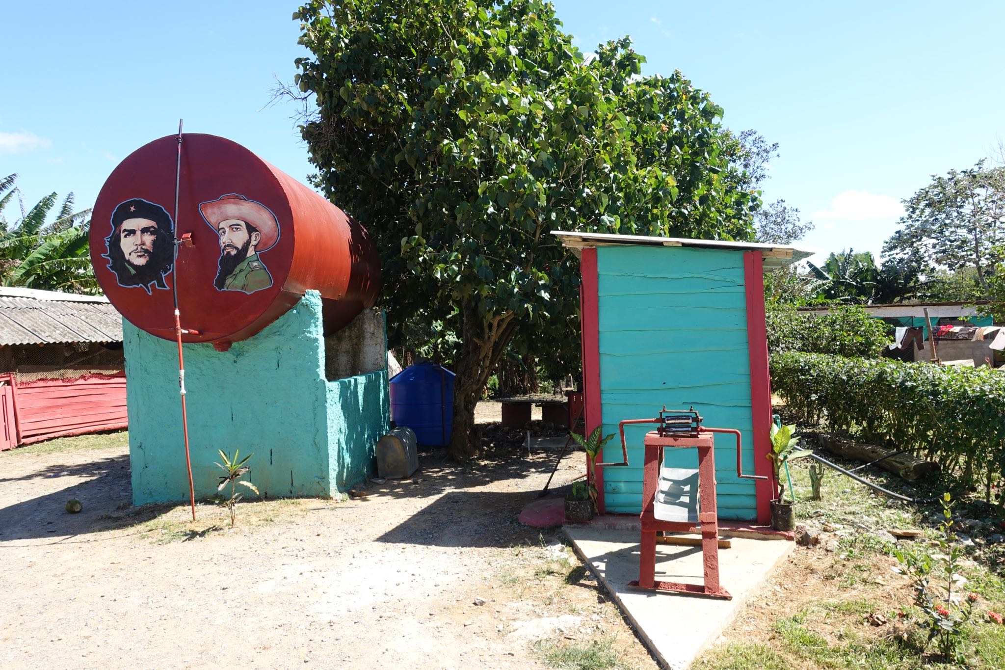 Photo 189 of 221 from the album Highlights Cuba 2019.