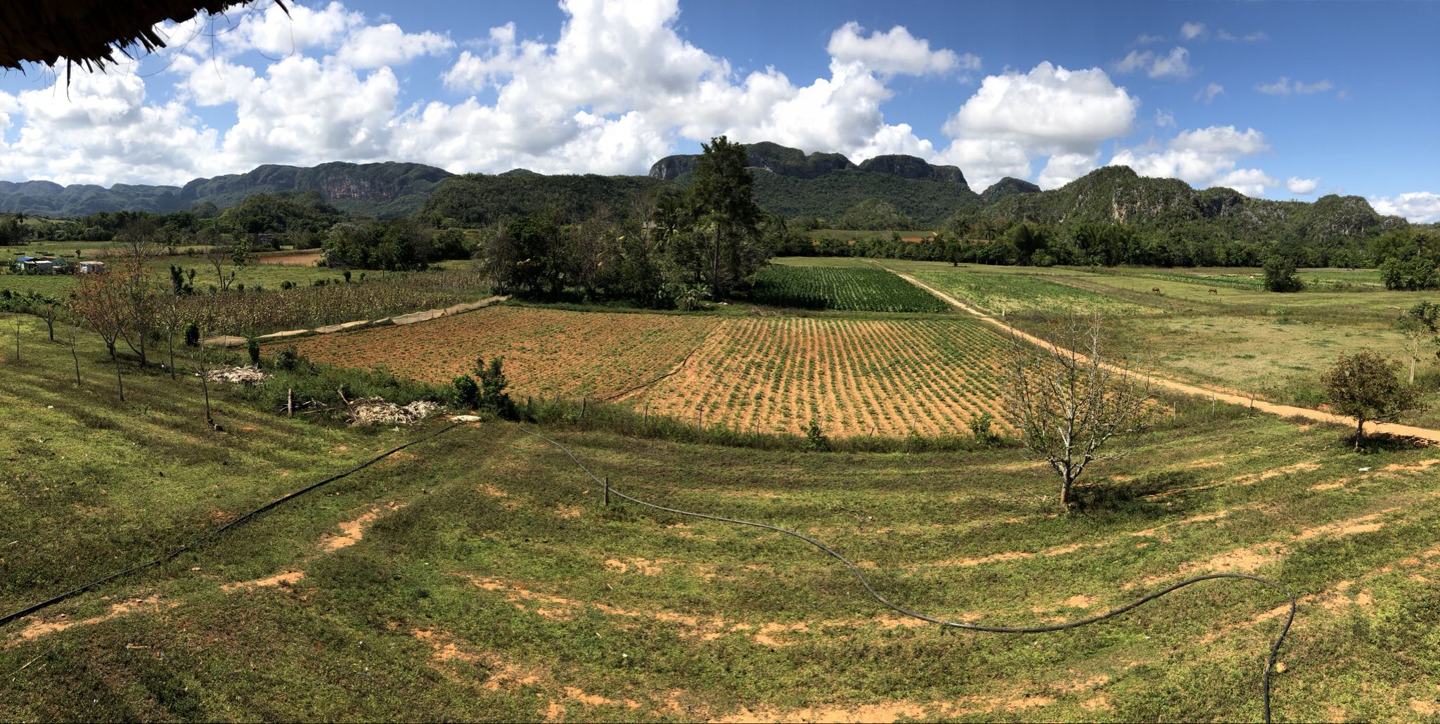 Photo 191 of 221 from the album Highlights Cuba 2019.