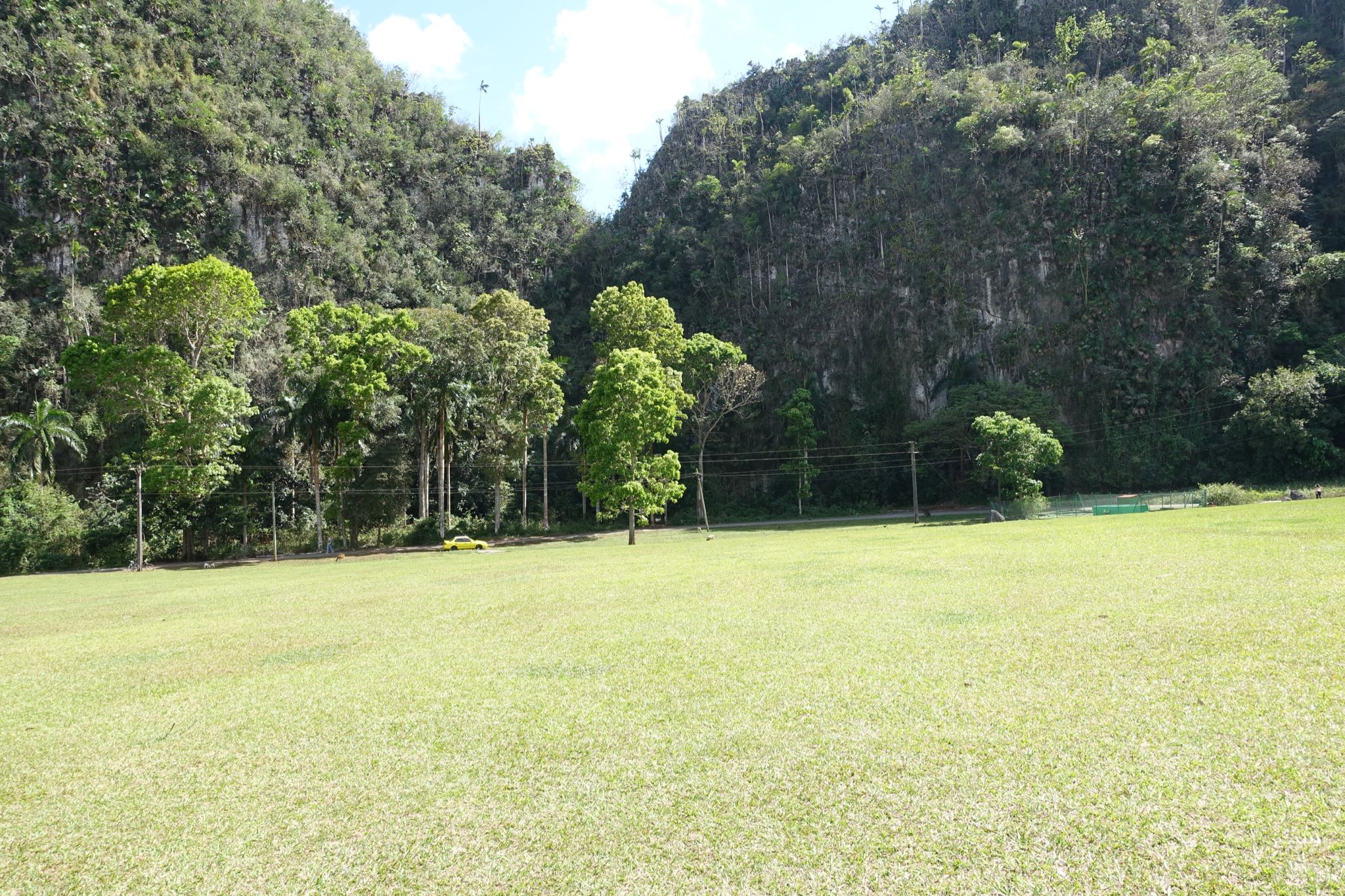 Photo 192 of 221 from the album Highlights Cuba 2019.