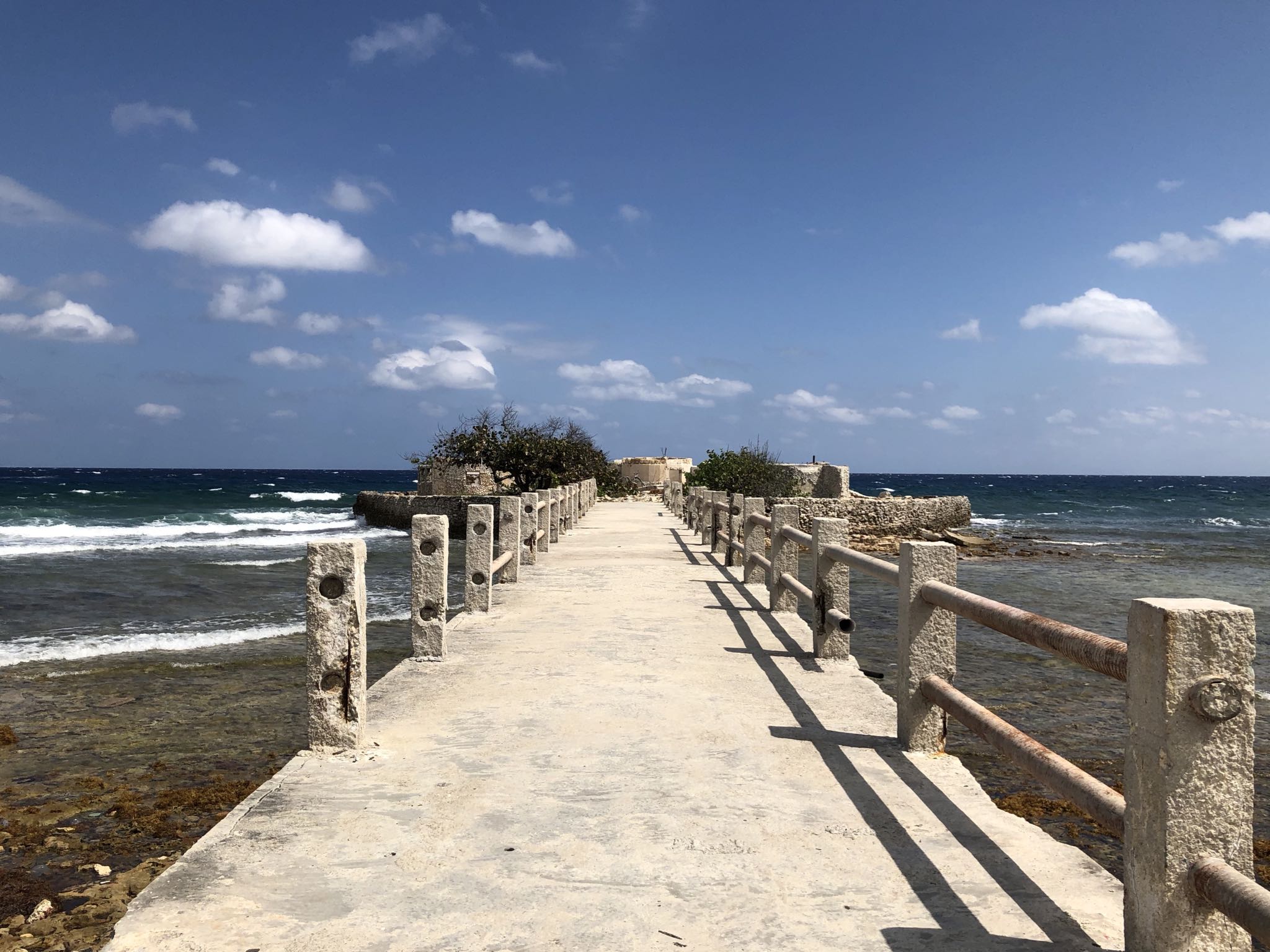 Photo 205 of 221 from the album Highlights Cuba 2019.