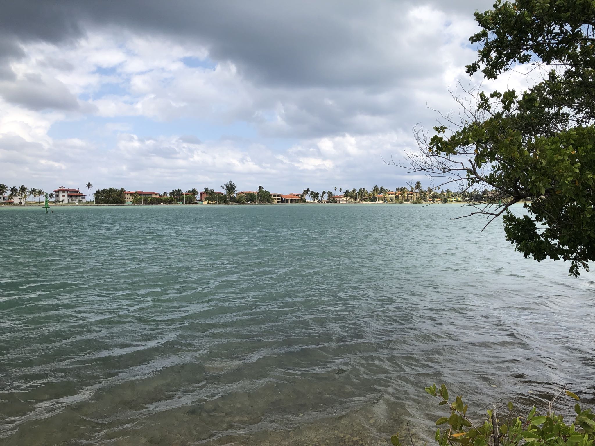 Photo 209 of 221 from the album Highlights Cuba 2019.