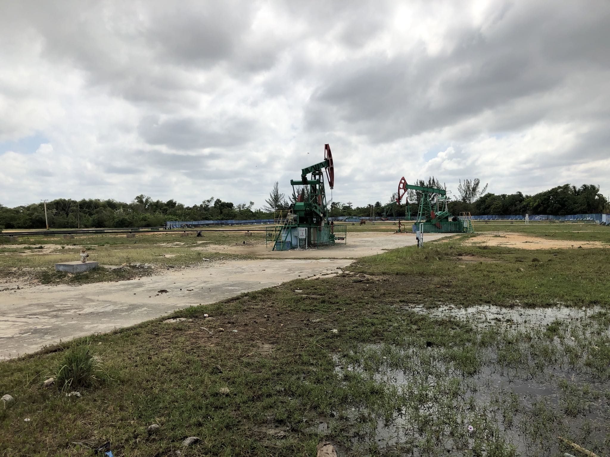 Photo 212 of 221 from the album Highlights Cuba 2019.